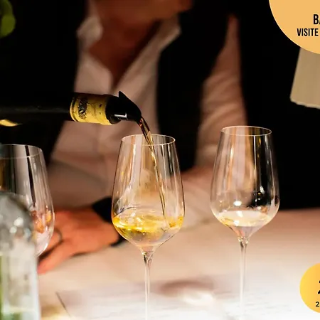 Emplacement Coeur De Ville, Proche Parking Et Vignobles, Animaux Bienvenus, Wifi, Linge Fourni * Barr