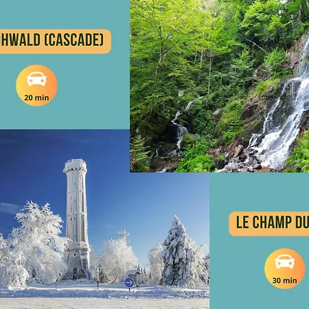 Le Nid De La Cigogne - à