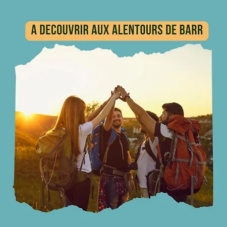 Le Nid De La Cigogne - à Barr