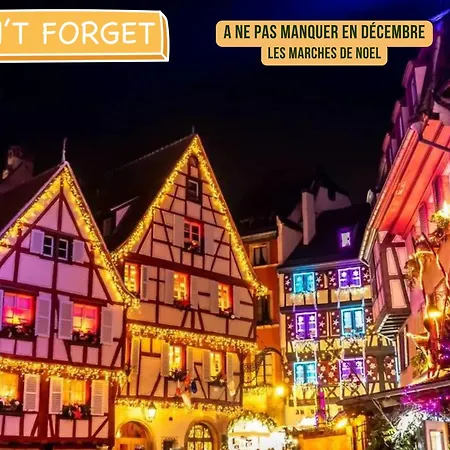 Appartamento Le Nid De La Cigogne - à Barr